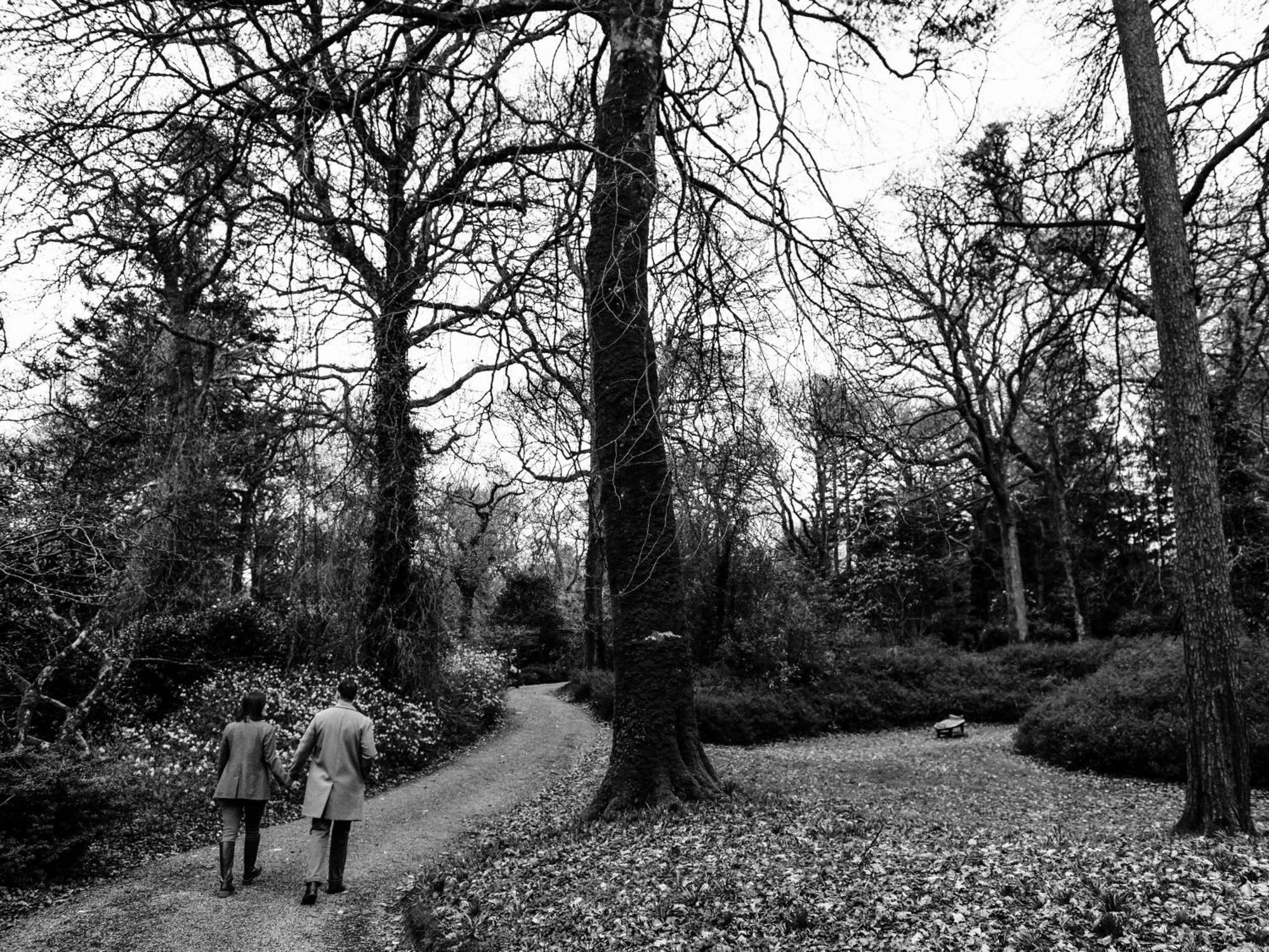 The Forest At Mount Congreve Gardens Kilmeaden Eksteriør bilde