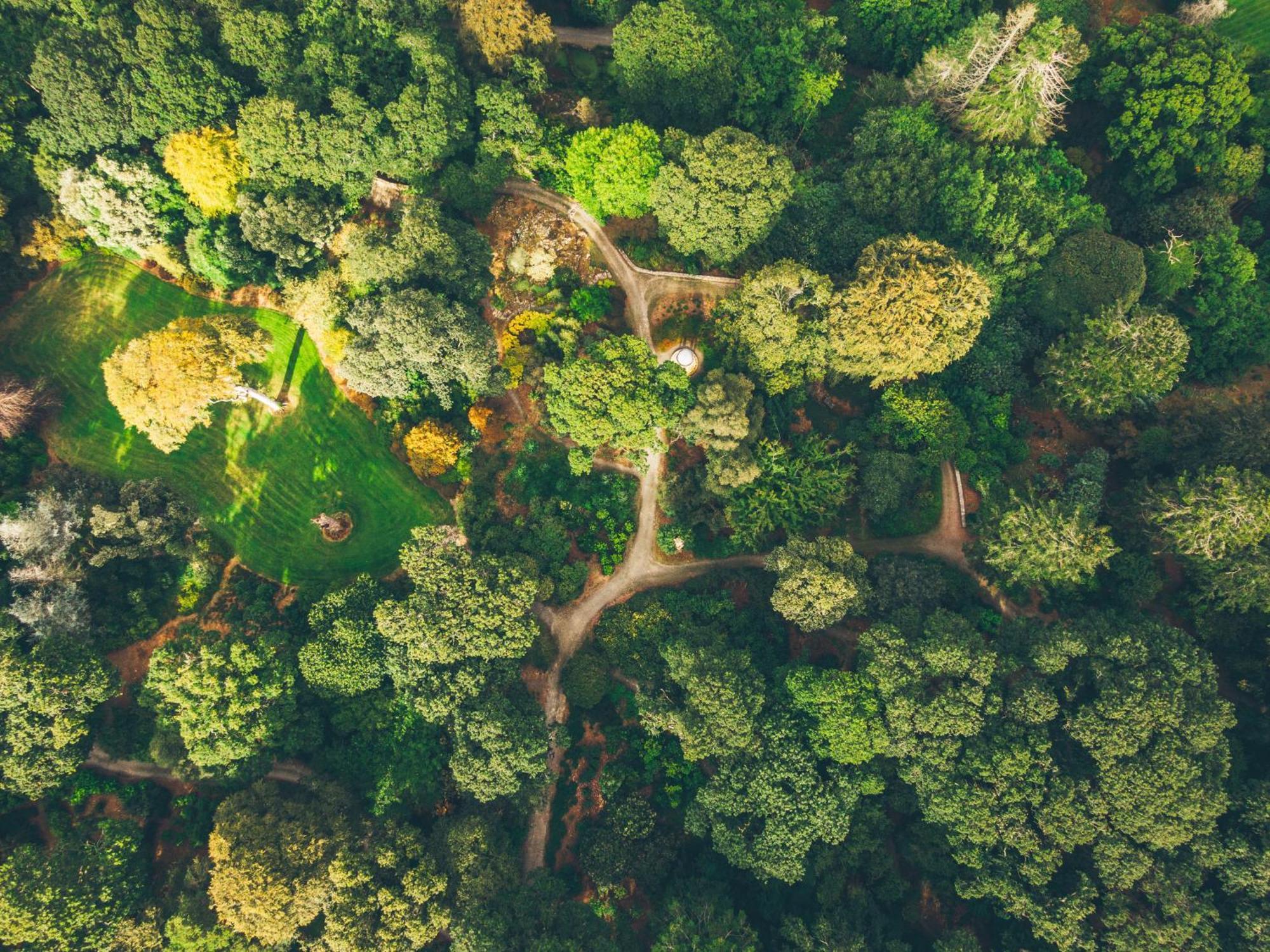 The Forest At Mount Congreve Gardens Kilmeaden Eksteriør bilde